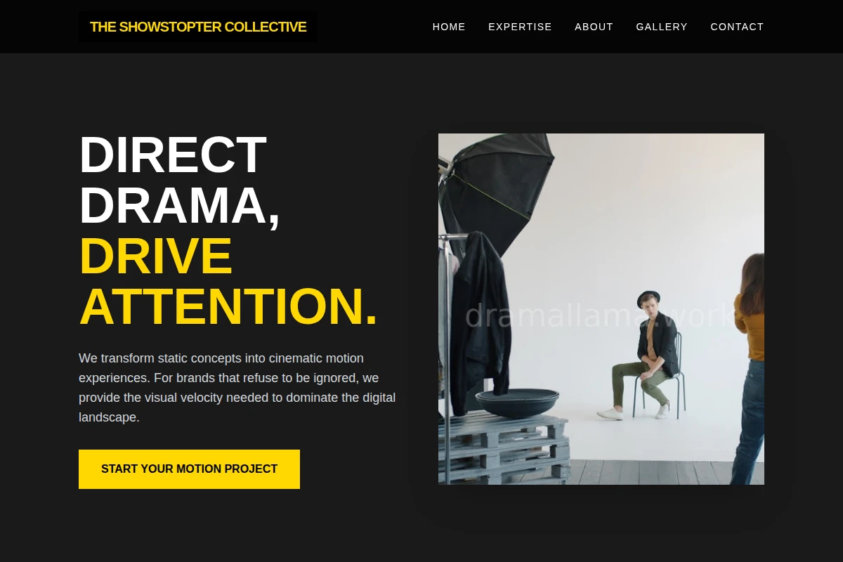 Animator Creative Direction